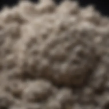 Close-up of advanced clumping technology in Arm and Hammer Platinum Clump and Seal