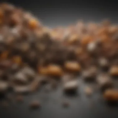 Diverse Pellet Poop Specimens in Wildlife Various animal fecal samples showing differences in pellet poop