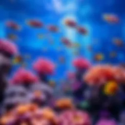 Vibrant coral reef ecosystem at an aquarium