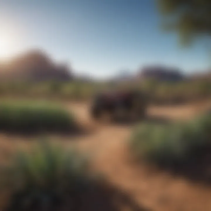 Arizona farm under clear blue skies