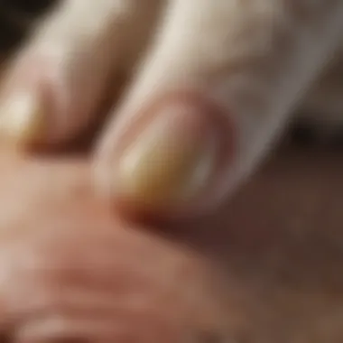 Close-up of a cat's paw with deworming tablet