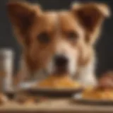 Canine Cuisine Delight