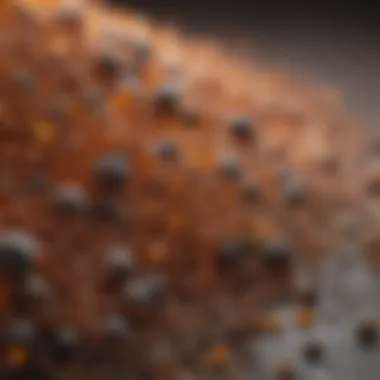Close-up of key ingredients in flea granules