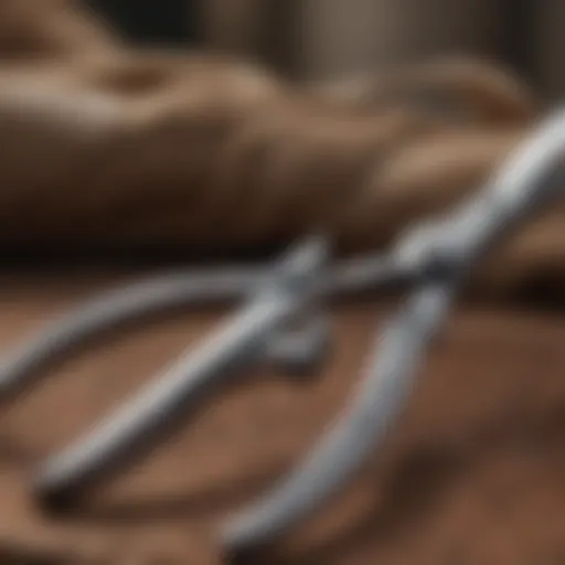 Precision grooming shears showcasing sharp blades