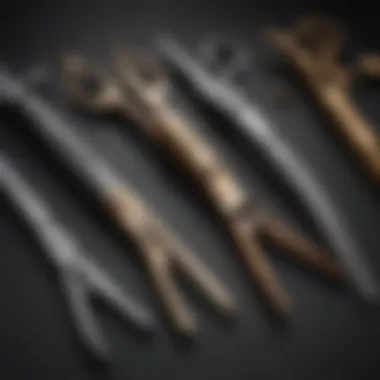 Various types of grooming shears with distinct designs