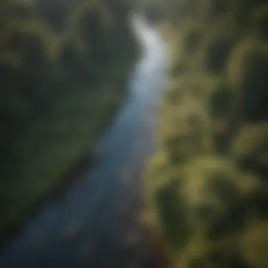 An aerial view of a blackwater river showcasing its rich biodiversity and habitat.