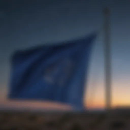 Blue Flag with Starry Night Sky