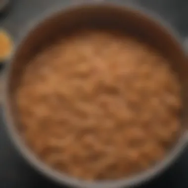 Brown rice being mixed into dog's food bowl