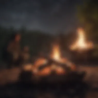Starry Night Campfire Campfire Under the Starlit Sky in Northern Illinois