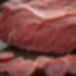 Close-up of raw beef cuts suitable for dog meals