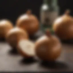 Canine Health and Onion Toxicity