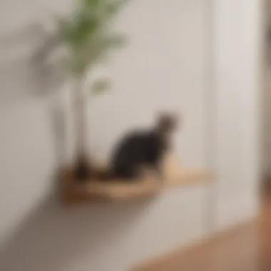 Modern design of a carpeted cat shelf in a minimalist home