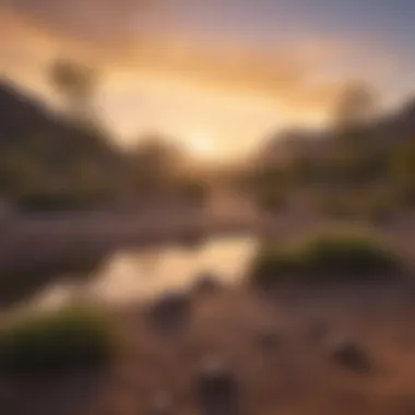 Panoramic view of Cave Creek Regional Park Campgrounds at sunrise