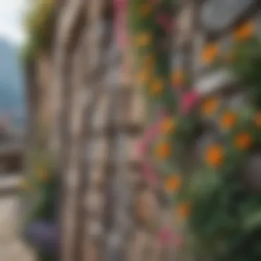 Colorful Climbing Flowers Against Stone Wall