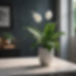 Elegant Peace Lily in a Minimalist Interior Setting