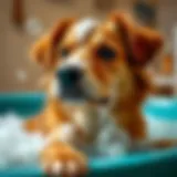 A dog enjoying a soothing flea bath treatment with bubbles.