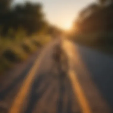 Sunset Illuminating Coastal Bike Path