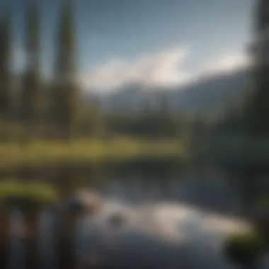 Reflective lake surrounded by pine trees