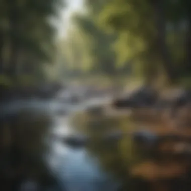 Crystal-clear river flowing through the campground