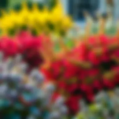 Vibrant Shrubs for Deer Resistance A vibrant selection of deer resistant shrubs in a garden setting