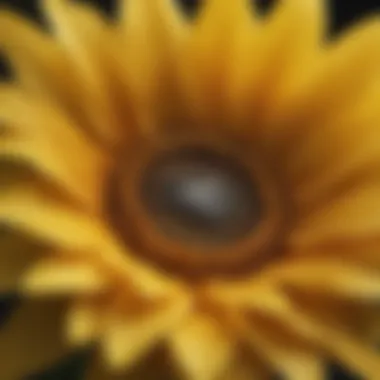 Precision Craftsmanship in Faux Sunflower Design Detailed Close-Up of Realistic Faux Sunflower Petals