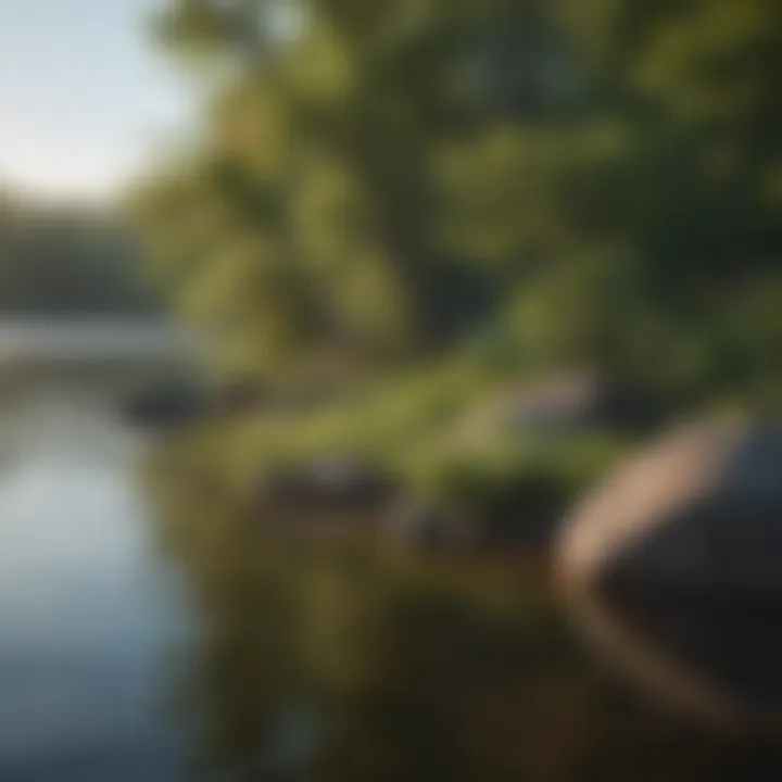 Diverse Flora and Fauna Along Mississippi Lake Shoreline