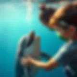Therapeutic Bonding with Dolphins Dolphin engaging in therapeutic interaction with a child