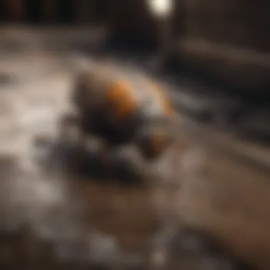 Macro shot of a bug trapped in drain stopper
