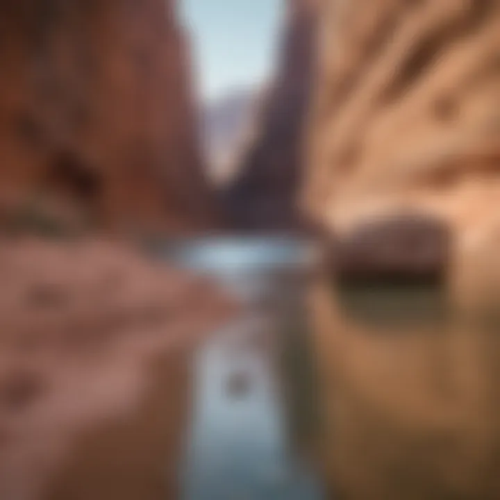 Dramatic contrast of Lake Powell water levels over time