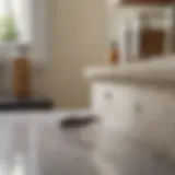 Earwig crawling on kitchen countertop