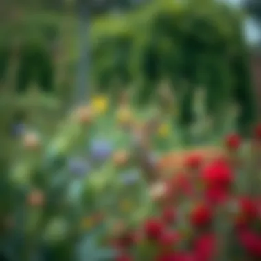 Ecological Advantages of Deer Resistant Shrubs Ecological benefits of deer resistant shrubs illustrated through a thriving garden