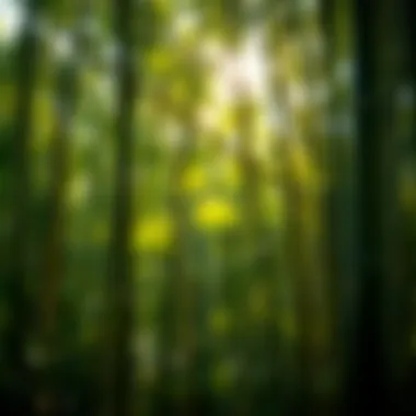 Vibrant bamboo forest showcasing diverse species