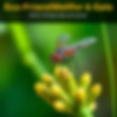 Eco-Friendly Remedies for Flies and Gnats A visually appealing chart showcasing eco-friendly remedies for pest control