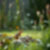 A serene garden setting illustrating potential chipmunk habitats