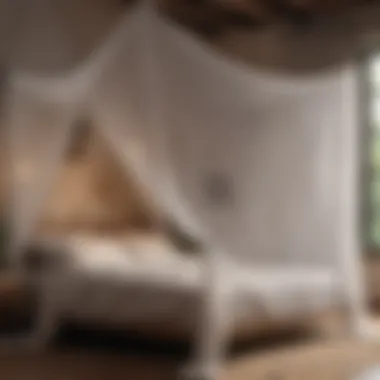 Bed Mosquito Net DIY DIY mosquito net installation for bed protection