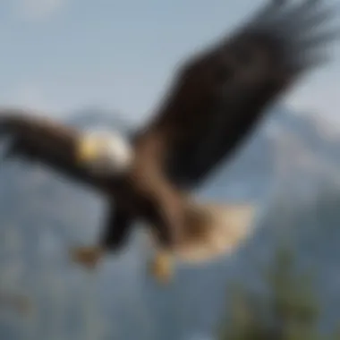 Majestic Bald Eagle soaring in the sky