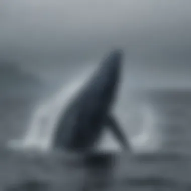 Majestic Blue Whale breaching the surface of the ocean