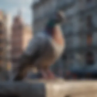 Pigeon perched on a weathered city statue