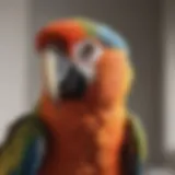 Vibrant Plumage Parrot Perched