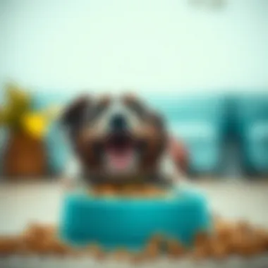 A Happy Pet with Nutritious Kibble Pet enjoying a bowl of nutritious kibble