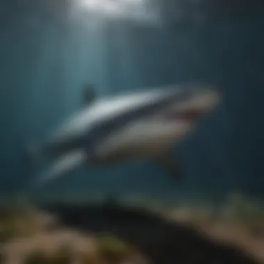 Ethereal shark with unique features lurking in shadowy waters
