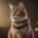 A sleek and compact cat tracker attached to a collar, showcasing its modern design.