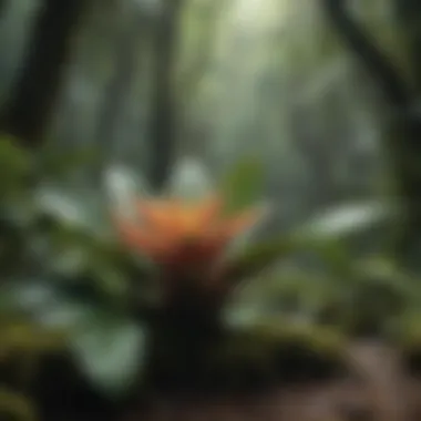Botanical Marvels in Rainforests Exotic Flora of Rainforest