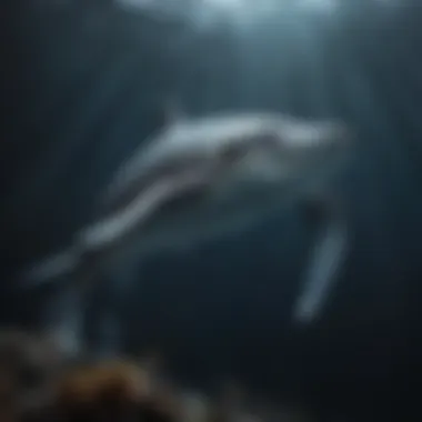 Graceful marine creature gliding through ocean depths