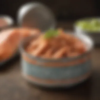 Gourmet Canned Dog Food with Wild-Caught Salmon