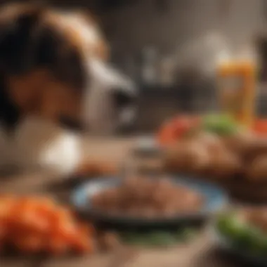 Optimal Diet Plan for Managing Liver Conditions in Dogs Balanced diet for dogs with liver conditions