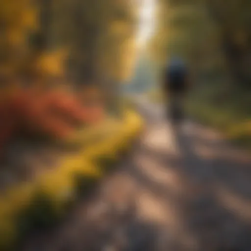 Cyclist enjoying the vibrant foliage on a winding trail