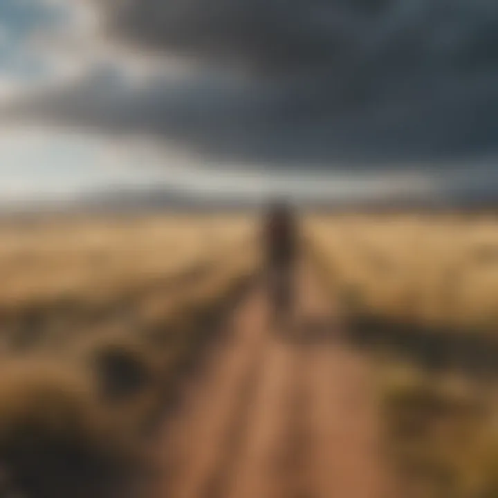 Panoramic view of a cyclist biking through a vast open prairie landscape