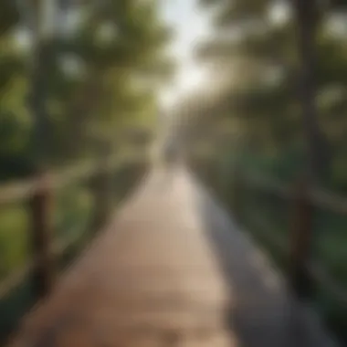 Cyclist crossing a rustic wooden bridge surrounded by lush greenery