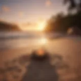 A serene beach campsite in Puerto Rico at sunset